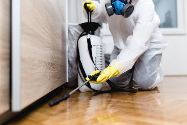Best Affordable Pest Control Services  in Fulton, TX
