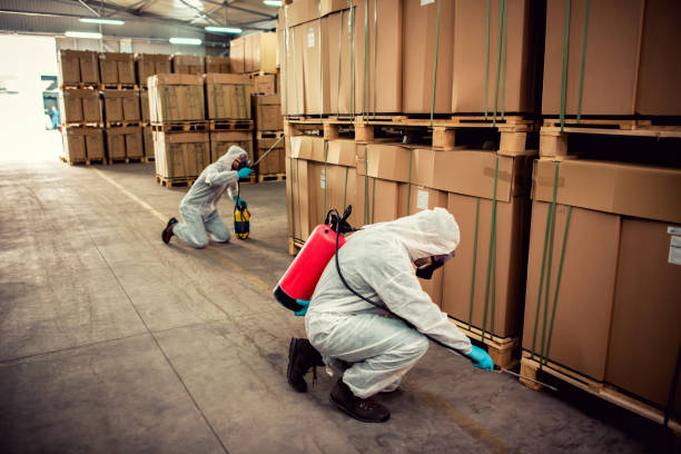 Best Exterminator Services  in Fulton, TX