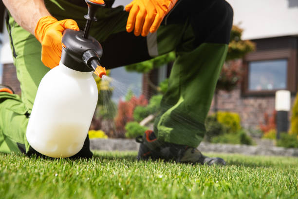 Professional Pest Control in Fulton, TX