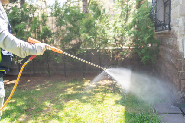 Best Ant Control Services  in Fulton, TX