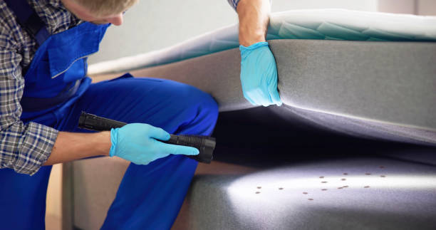 Best Cockroach Control Services  in Fulton, TX