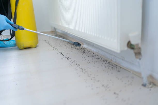 Pest Control Cost in Fulton, TX