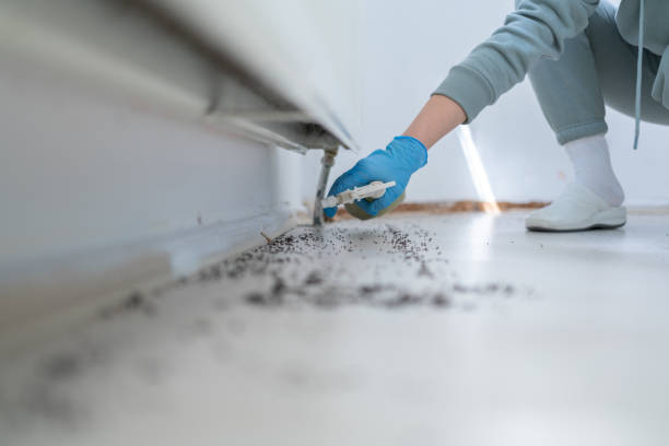 Best Best Pest Control Companies  in Fulton, TX