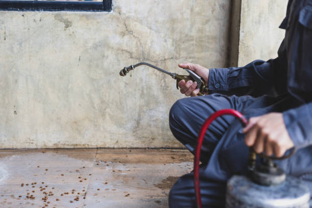 Best Pest Control for Businesses  in Fulton, TX